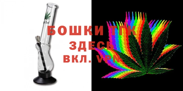 прущие грибы Тобольск