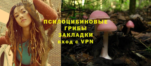 прущая мука Тында