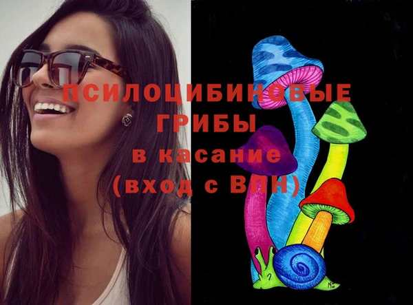 mix Туринск