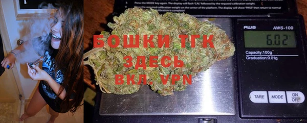 прущие грибы Тобольск