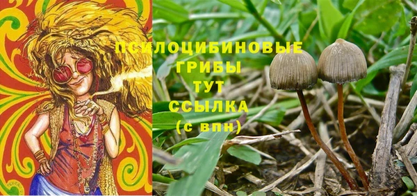 прущая мука Тында