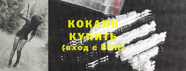 прущая мука Тында