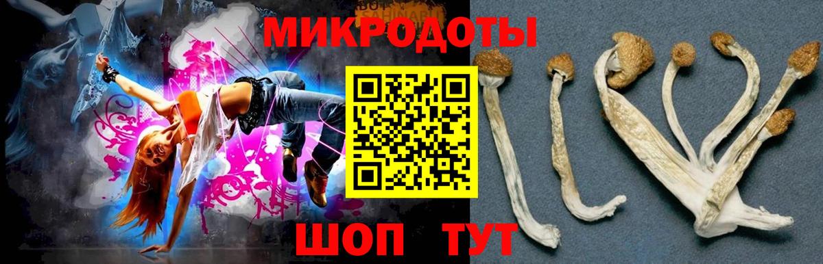 Галлюциногенные грибы GOLDEN TEACHER Улан-Удэ
